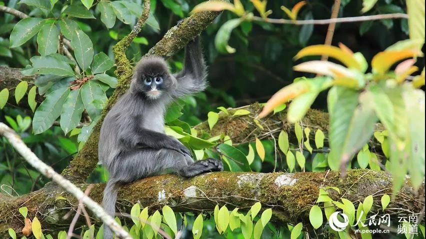 微信图片_20210831184216