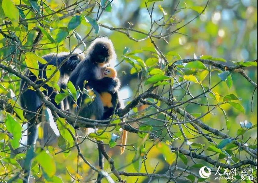 微信图片_20210831184221