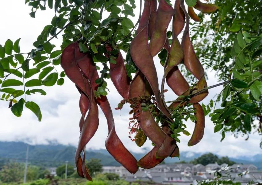 微信图片_20230313111320