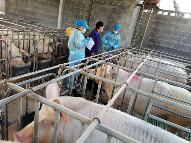 微信图片_20200217115417