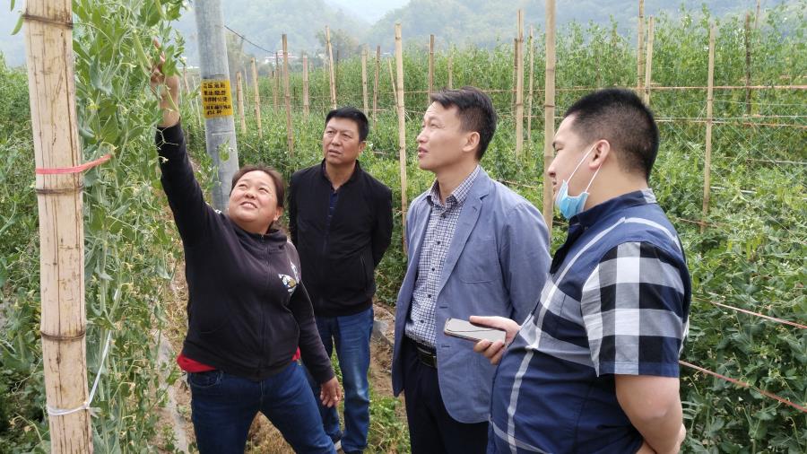 微信图片_20200326114912