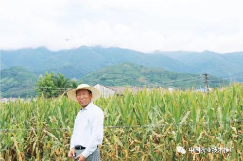 微信图片_20200421102659