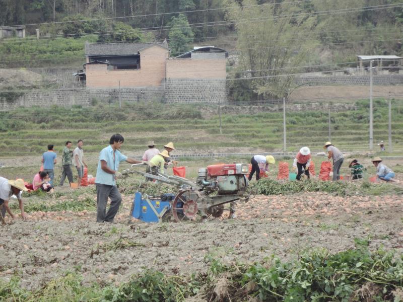 微信图片_20200422171527_副本