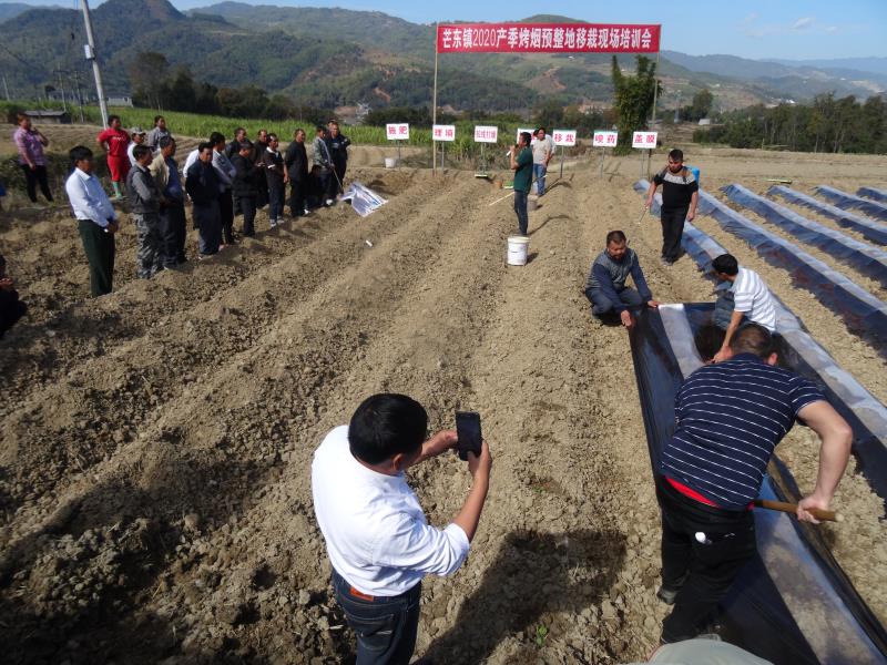 微信图片_20200429094423