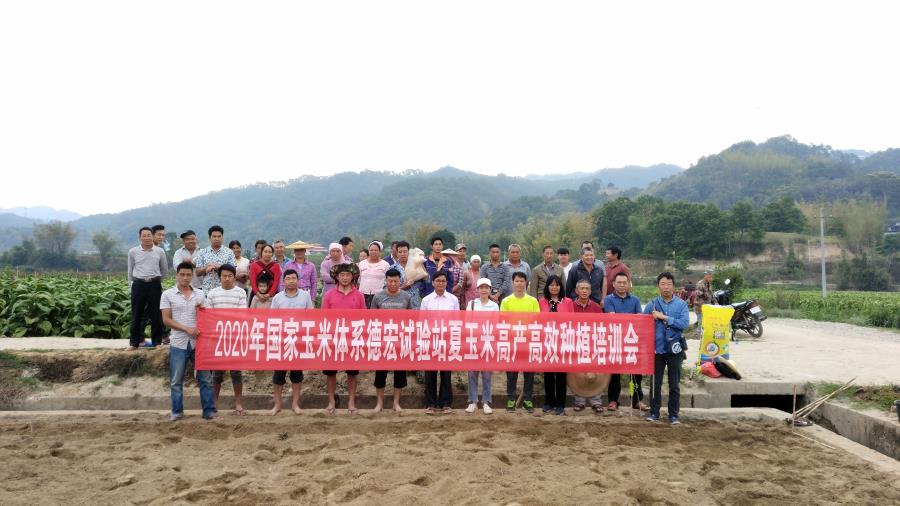 微信图片_20200509174536_副本