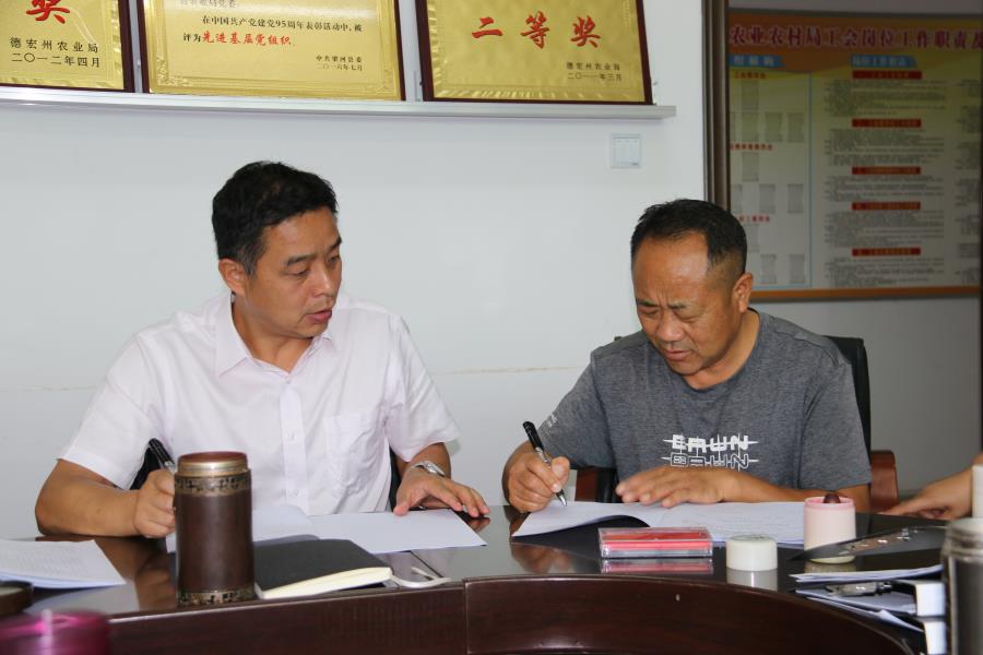 2020.6 .1梁河县农农村局党风廉政建设工作安排部署会 (4)