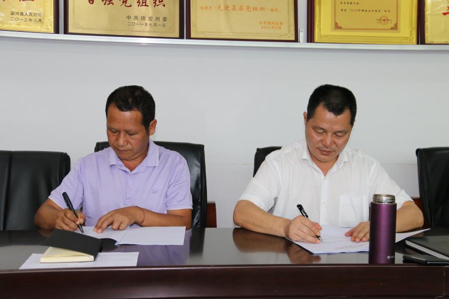 2020.6 .1梁河县农农村局党风廉政建设工作安排部署会 (3)