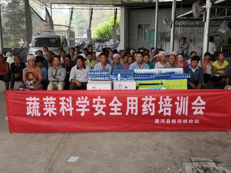 微信图片_202005131556302