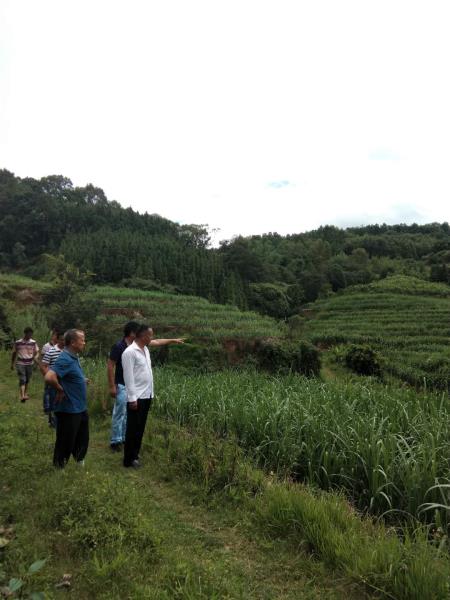 微信图片_20200811170451