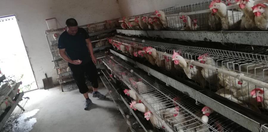 监督抽查抽样 (3)