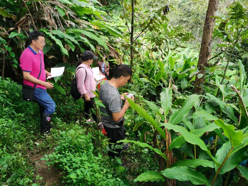 微信图片_20200825171134