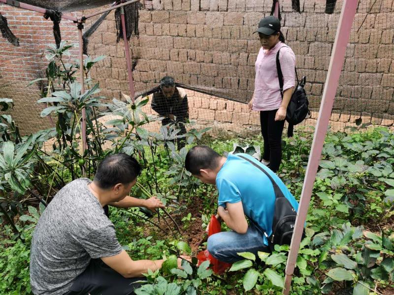 微信图片_20200825171126