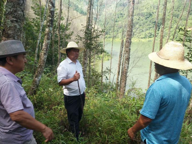 3d9e0f740c1d47109c7efc24ba965e8