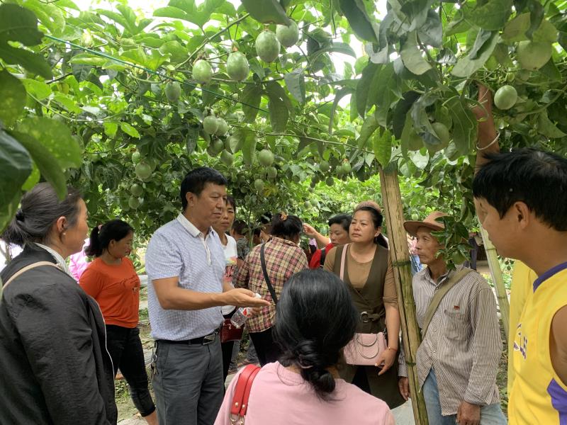 微信图片_20201103171652