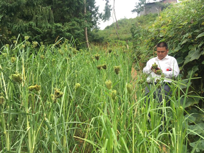 微信图片_202009221715101