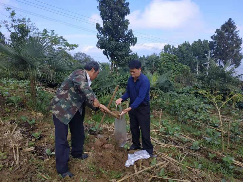 微信图片_20201117160355