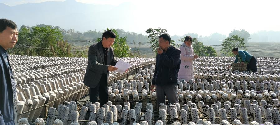 微信图片_20201126220253