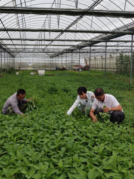 微信图片_20201203160036