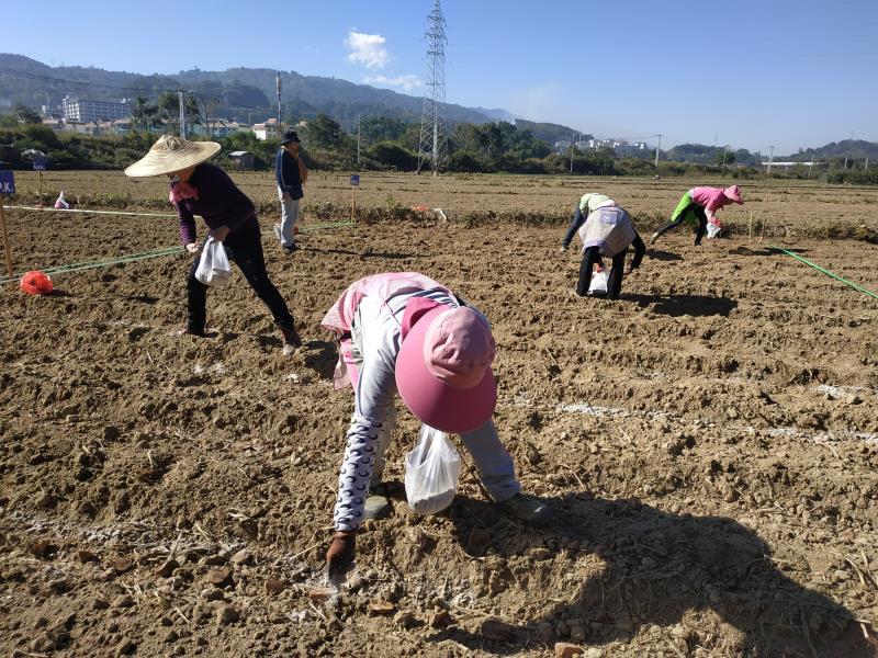 微信图片_20201203091124