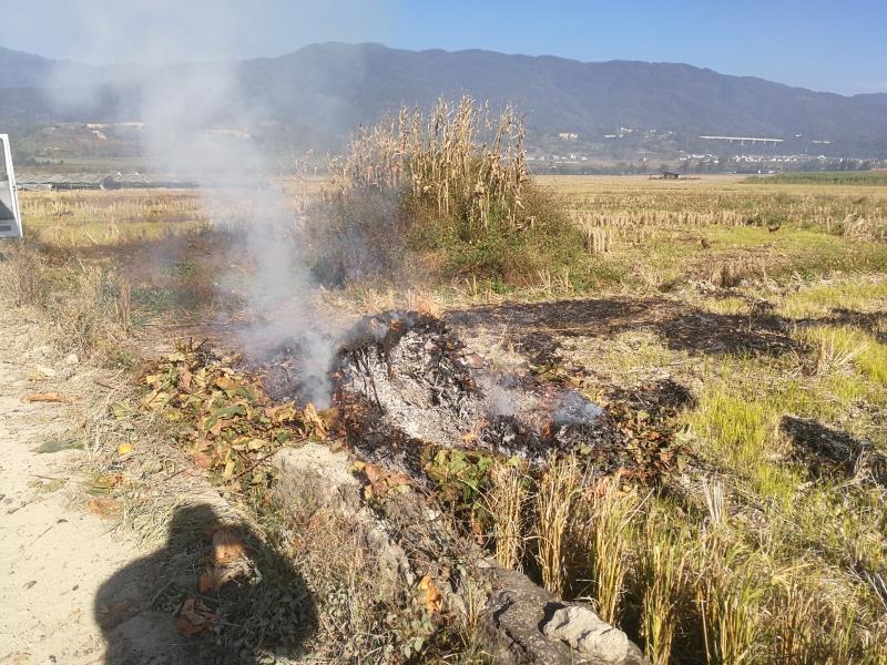 23a843fc17aae1e2bf40cbaebf199d5