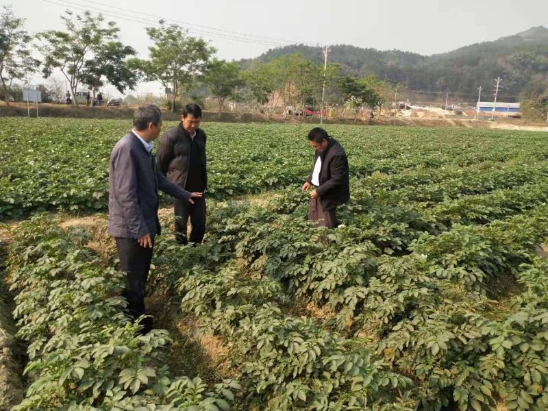 乡村振兴志愿服务1