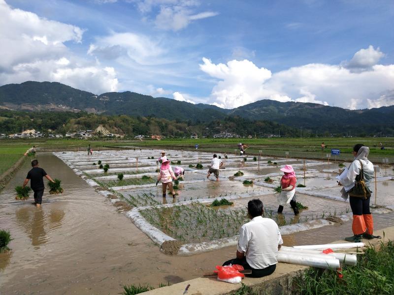 微信图片_202106111041471