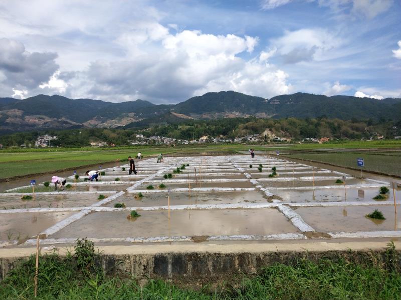 微信图片_202106111041477