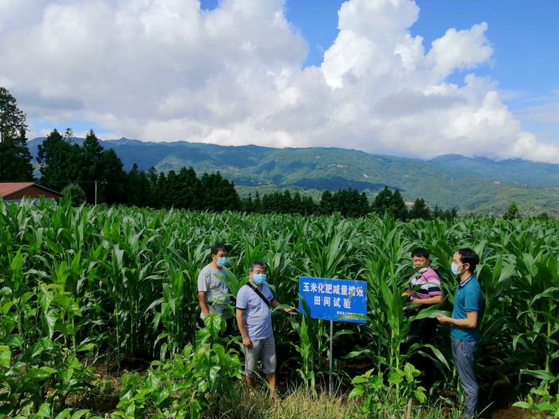 1b0ab370e0f133fdd8307fa38de3a05