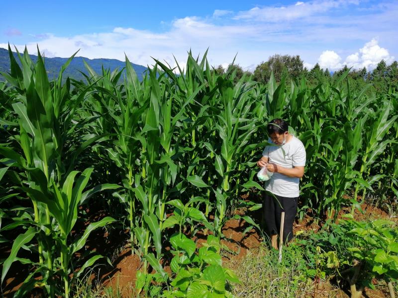 91ff89451f4c8a560e59671656cc2fc