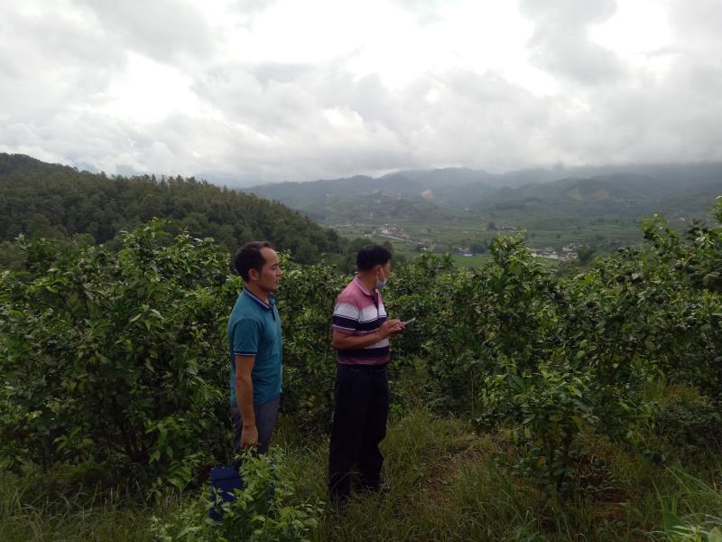 ff14a1edecba679c8102b3216742b44