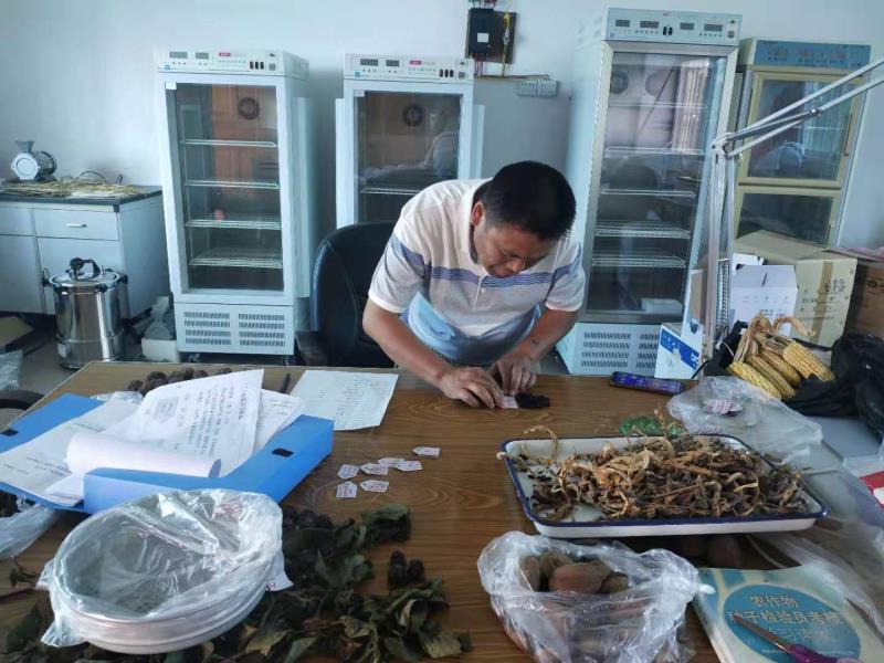 微信图片_20201103113257