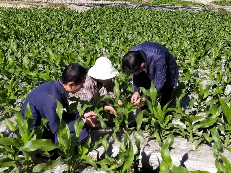 微信图片_20220107153208