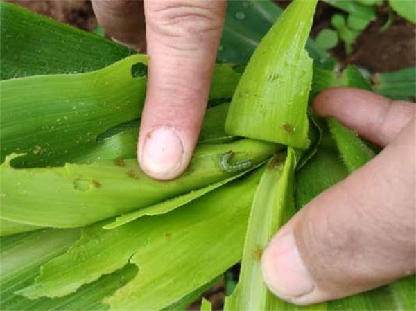 微信图片_20220107153214