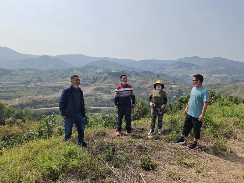 81cab736a8d4420550719c30a68f897