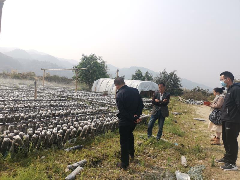 f38a8b1c60a9f946491ce619efb3174