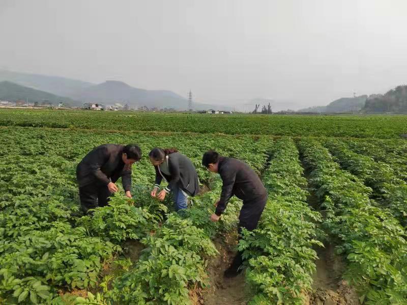 8d52085effc8d7dad250db0bedda928