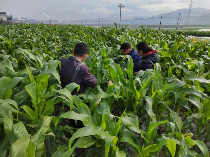 bcdc4ccd6e4255ba5f5ecd13fc75f54