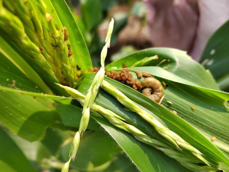 adce4a3e0d2f4c460053c5f5991abe5