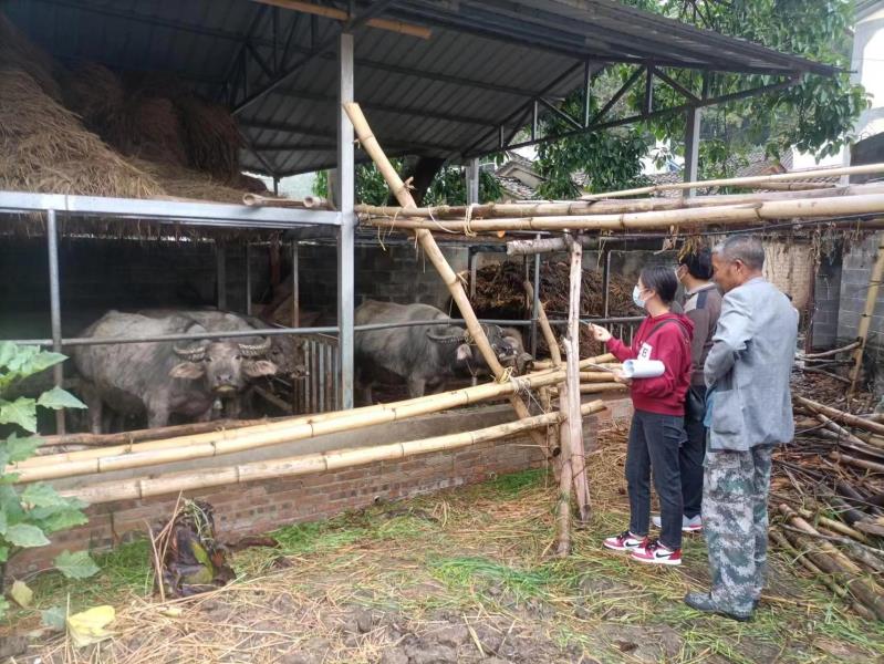 cdb946d42523e4fa610e0d64ba6962f