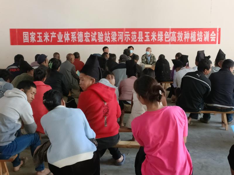 9d0a234726379f3fc93283c454ce845