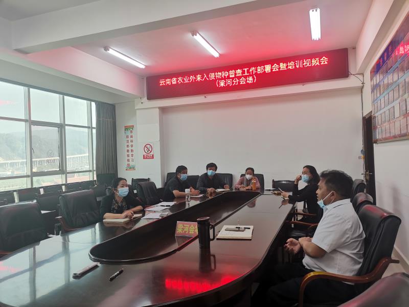 9dbddee720aafc3d820fba524a1719b