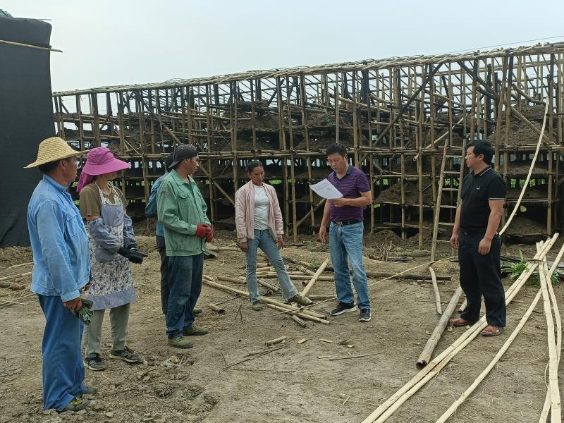 266af4e935627720e7fc63575ffb088