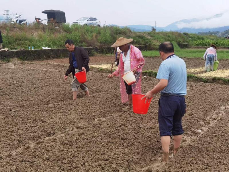 1dfc06f1c81668bbe271cf4309fece6