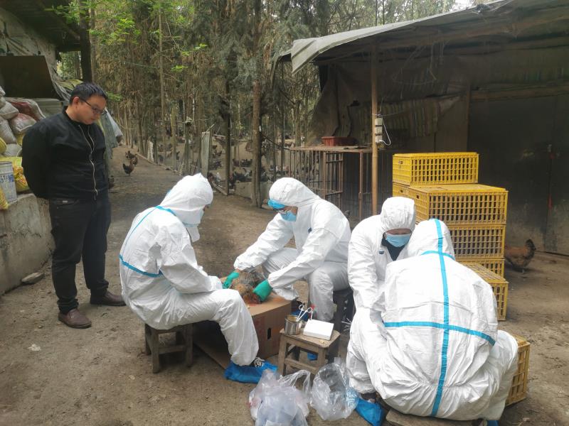 d899971fd2a3156c9bbe84a5c17f751