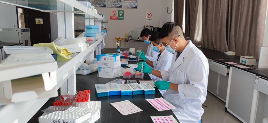 cfd17e57914ba63a0101ea5960f0610