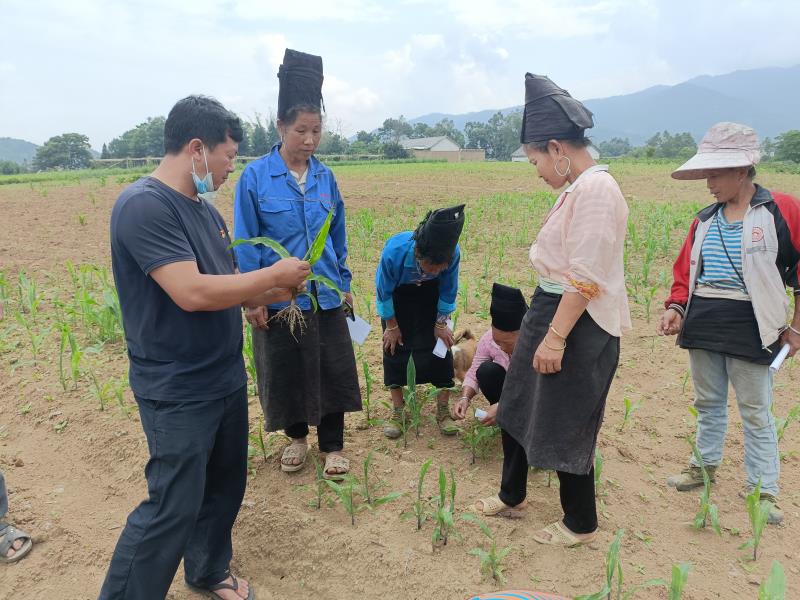 3ddc3ebce47019cf281ed9fc58e34d1