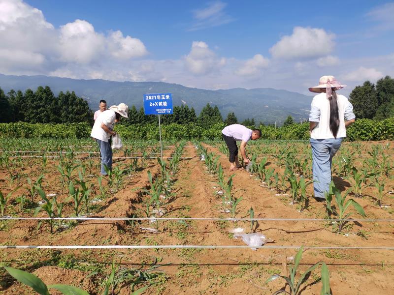 微信图片_20220602091545