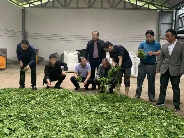 c00dbb5de3c7444aef2c6c8e0bb92fc