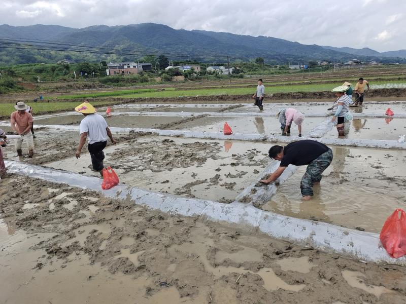 微信图片_202206171057394