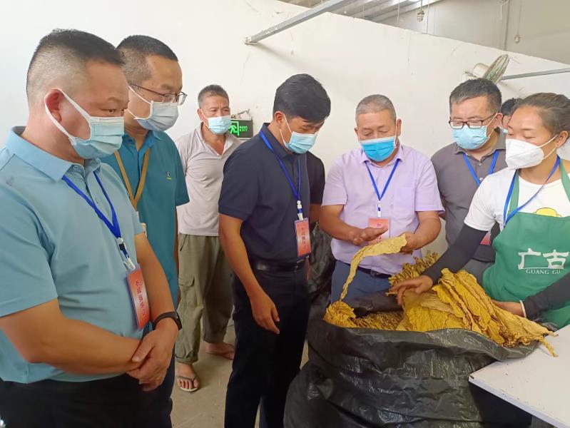 8429ec1777c0882dff11772901c4c81